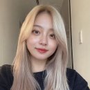 지노애드