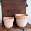 아레나한의원 이미지