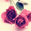 에버민박 이미지