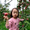 보은농장 이미지