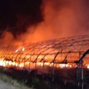 용인양계 이미지