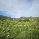 남부터미널(경남대학교방면) | 수원에서 가까운 수목장 답사 후기, 교통과 환경 비교