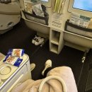 동양목초 | 엄마랑 단둘이 시드니 1일차 : 대한항공 비지니스 후기 / 포시즌스 시드니 / 오페라하우스 / 보타닉...