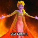 몰디브조개 네이버블로그