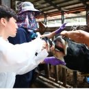 기광석농장 이미지