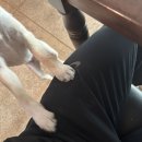 한 사람 | 창원 도계동 카페 - 위캔더커피 30번 방문 한 사람 후기