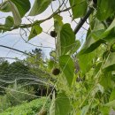 이루농장 이미지