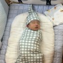코니 스와들파우치 신생아 양막주머니 추천 내돈내산 후기