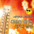 폭염을 이기는 8가지 방법 이미지