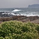 강정마을 의례회관 이미지