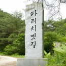 산새랑