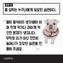 리턴투핏 이미지