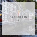 레브마음