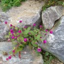 여진불교미술관 이미지