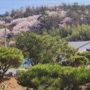 월출산달맞이민박펜션 이미지