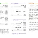 2023년 12월 31일 교회소식 이미지