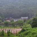 군자공원 | 안산 부근 시흥 절 군자추모공원 영각사 절밥 공양 부처님 오신날 후기