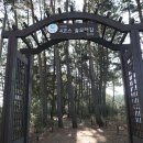 솔모랫길 이미지