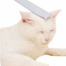 힐링그루밍 이미지