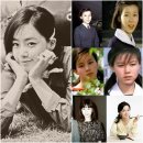 롤리폴리 이미지