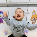 엄마네빵집 | 💕계란 알러지 아기도 먹을 수 있는 빵집, ‘화이트리에’ 내돈내산 후기🍞