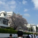 박스 앤 짐 | 2026 부산 광안리 벤츠 기브앤레이스 마라톤 후기 ｜ 벡스코 주차부터 참가 꿀팁까지!