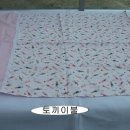 핑크토끼 이미지