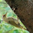 생림초등학교 이미지
