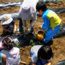 문박리 | 충북도내 가볼만한 농산촌마을(6) - 청원군 고드미마을