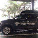 대전야생동물구조관리센터 | 때죽나무 열매와 까치: 대전야생동물 구조관리센터