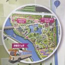 언덕배기꽃식물원 | 전망지-꿈의다리-한방체험센터-네덜란드/미국/스페인/이탈리아정원-국가정원식물원-동문출구퇴장 후기
