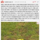 부산 해운대 양운중 자살 사건 이미지