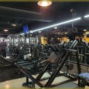 머슬핏 피트니스 이미지