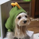 (주)퍼니박스 이미지