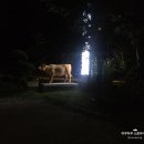 수정한우촌 이미지