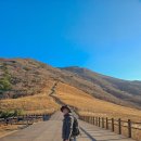 남성농장 | 울산 간월재 사슴농장 최단 등산코스 시간 주차 날씨 11월 간월산 옷차림