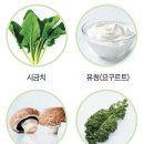 유청식품 이미지