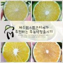 은미농장 이미지