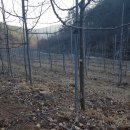 산길별채 이미지