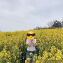 부안수협격포지점바다모텔 | ▶[전북/부안] 부안 1박2일 여행코스 (1일차) / 수성당~채석강~격포항~격포어촌계회센터~스페셜모텔