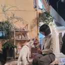 빨간모자 이미지