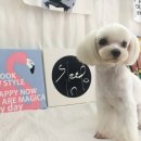 편한미용 이미지