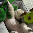 이룸독트레이닝 이미지