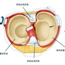 단대오거리정형외과의원 이미지