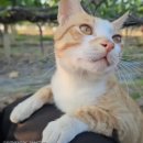 승연농장 이미지