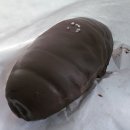 유니LAB - 수성구 동대구로42길 17 | ​[창원 중동 맛집] 인생 소금빵 발견! 솔트브레드랩 다양한 라인업 솔직 포장 후기