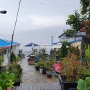 카페블루오션 이미지