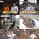 종원농장 이미지