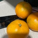 미진사 | 꽃가루를 날려