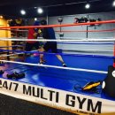 247멀티짐 이미지